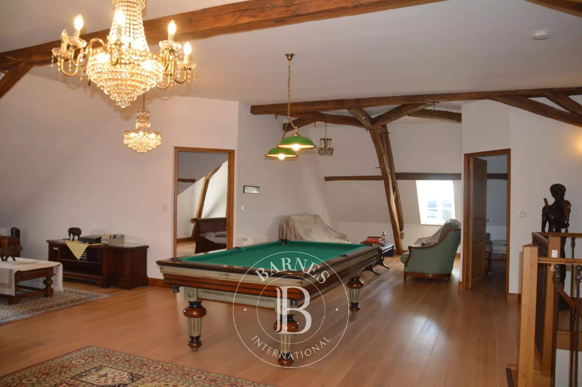 La Trimouille  - Manor house 12 Bedrooms - picture 14