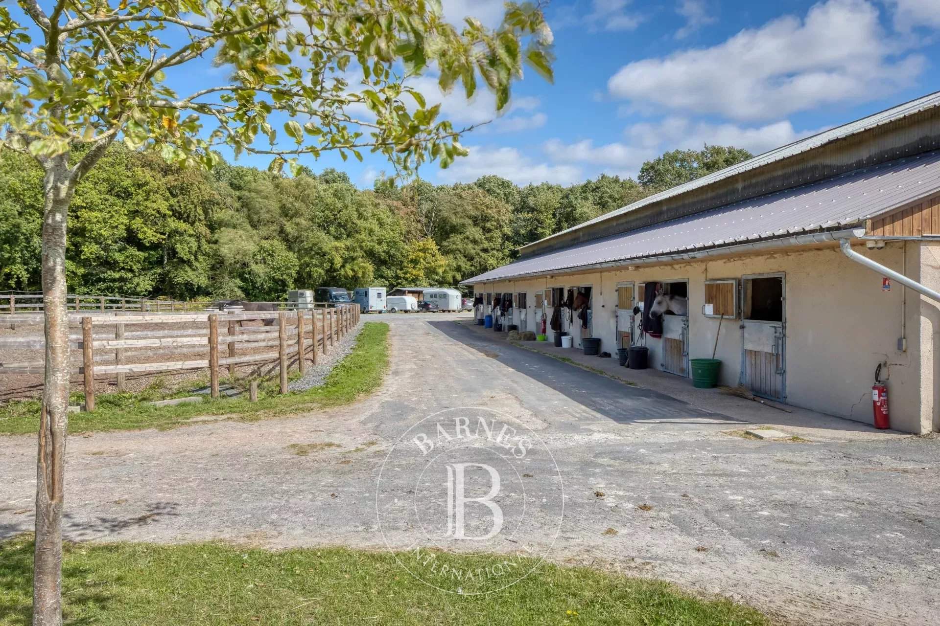 Villerville  - Equestrian estate  - picture 8