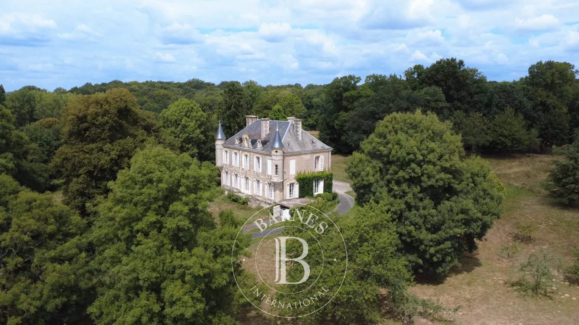 Niort  - Castle 5 Bedrooms - picture 1