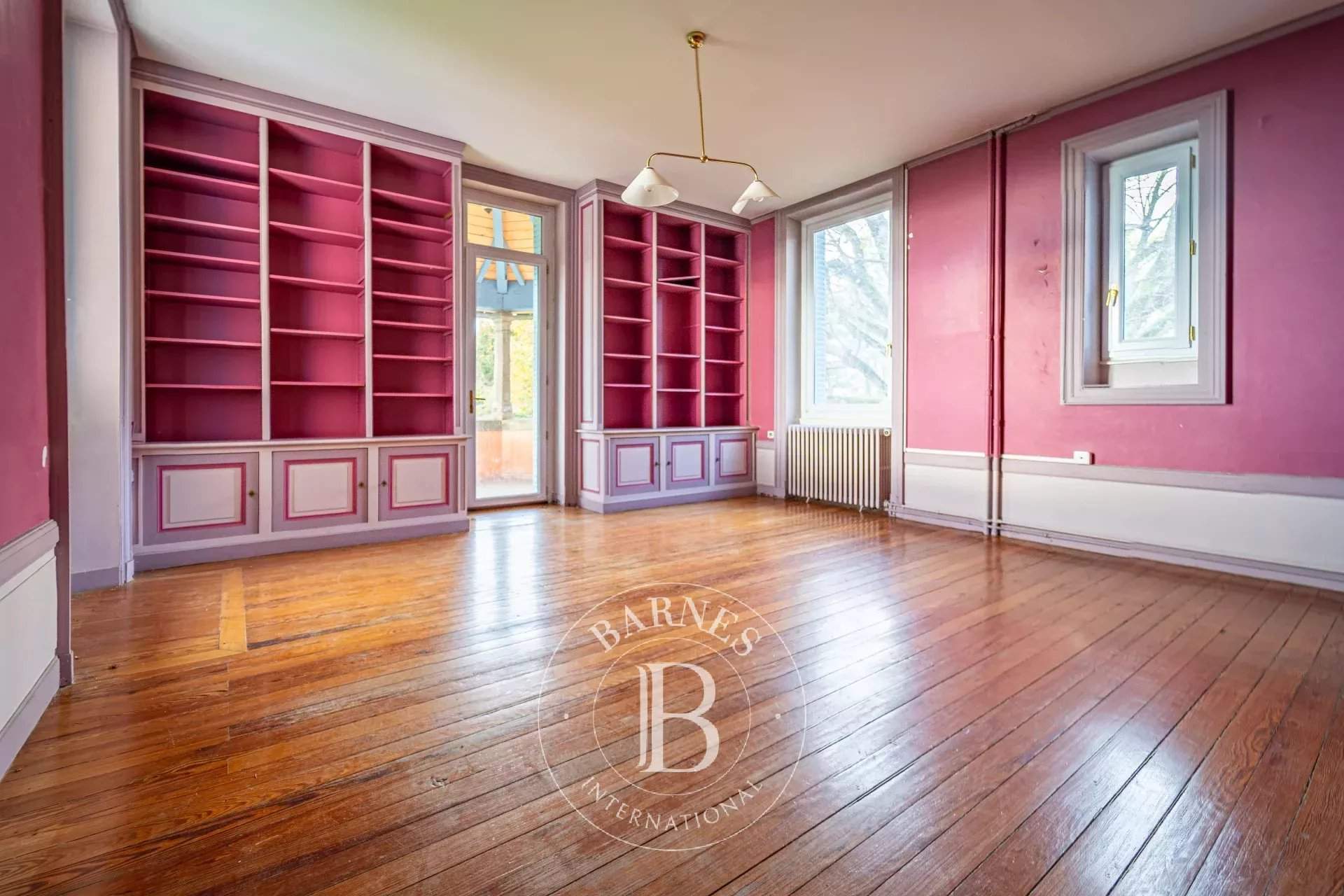 Eyzin-Pinet  - Castle  - picture 5