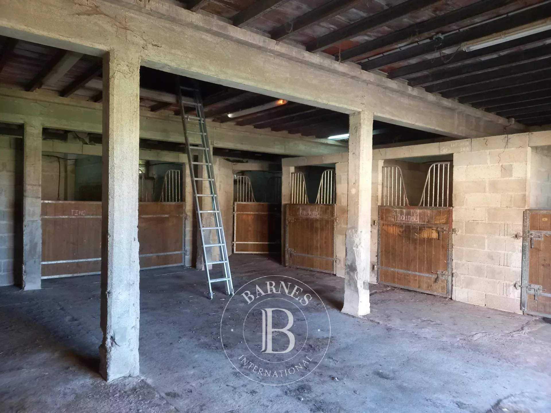 Montmorillon  - Domaine équestre 8 Pi&egrave;ces 5 Chambres - picture 7