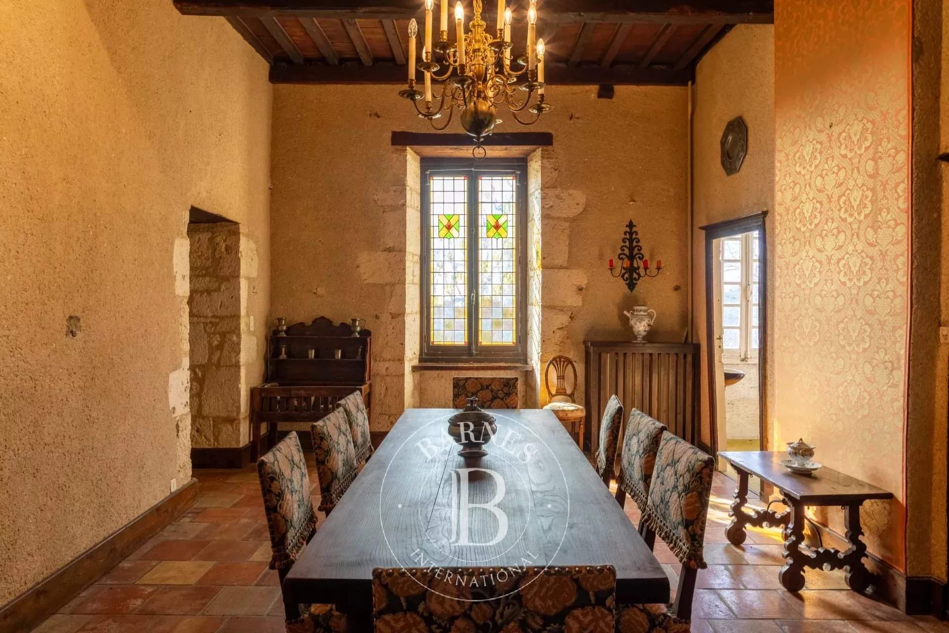 Agen  - Château 15 Pièces 5 Chambres - picture 8