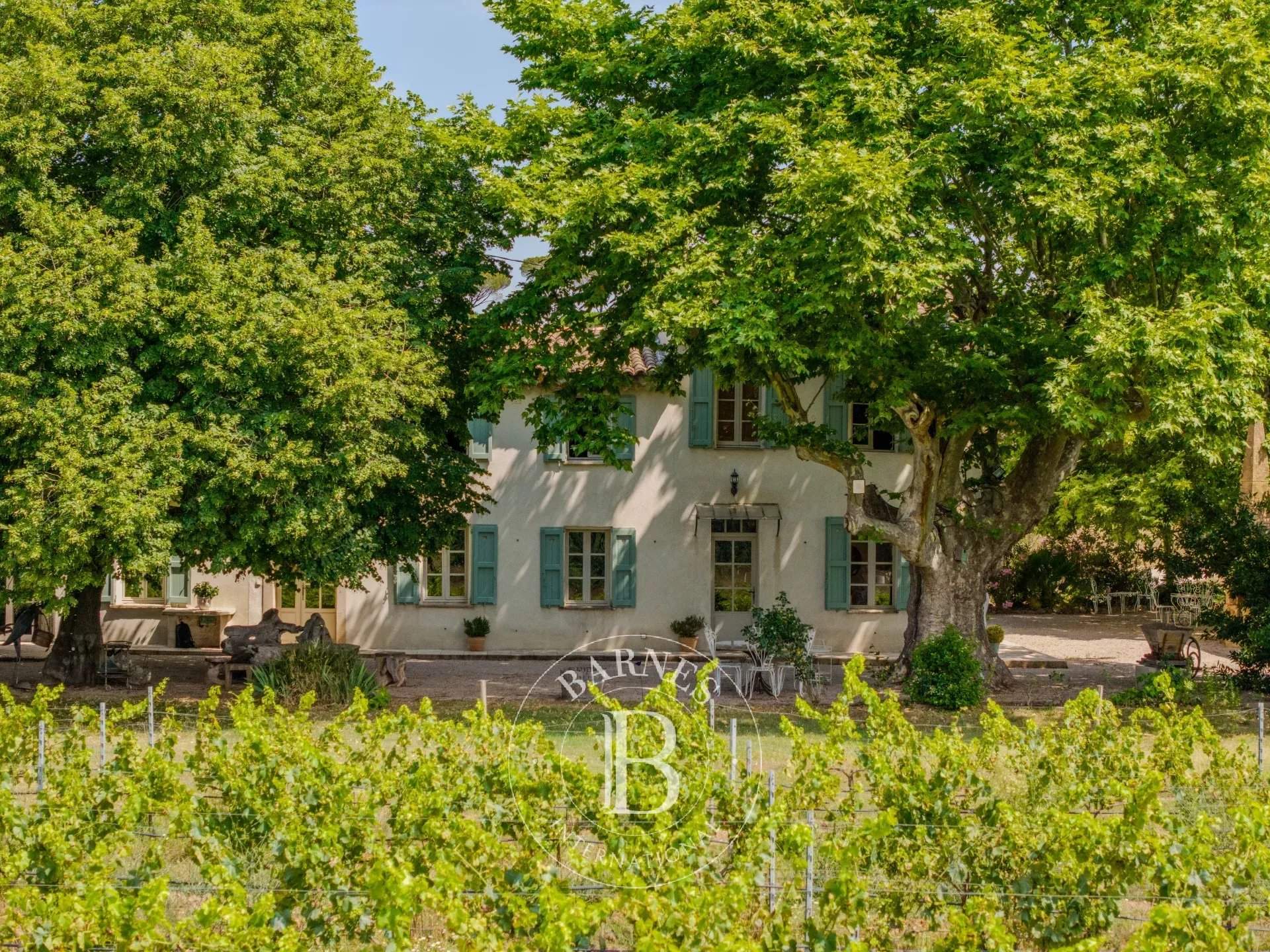 Vidauban  - Vineyard property 8 Bedrooms - picture 1