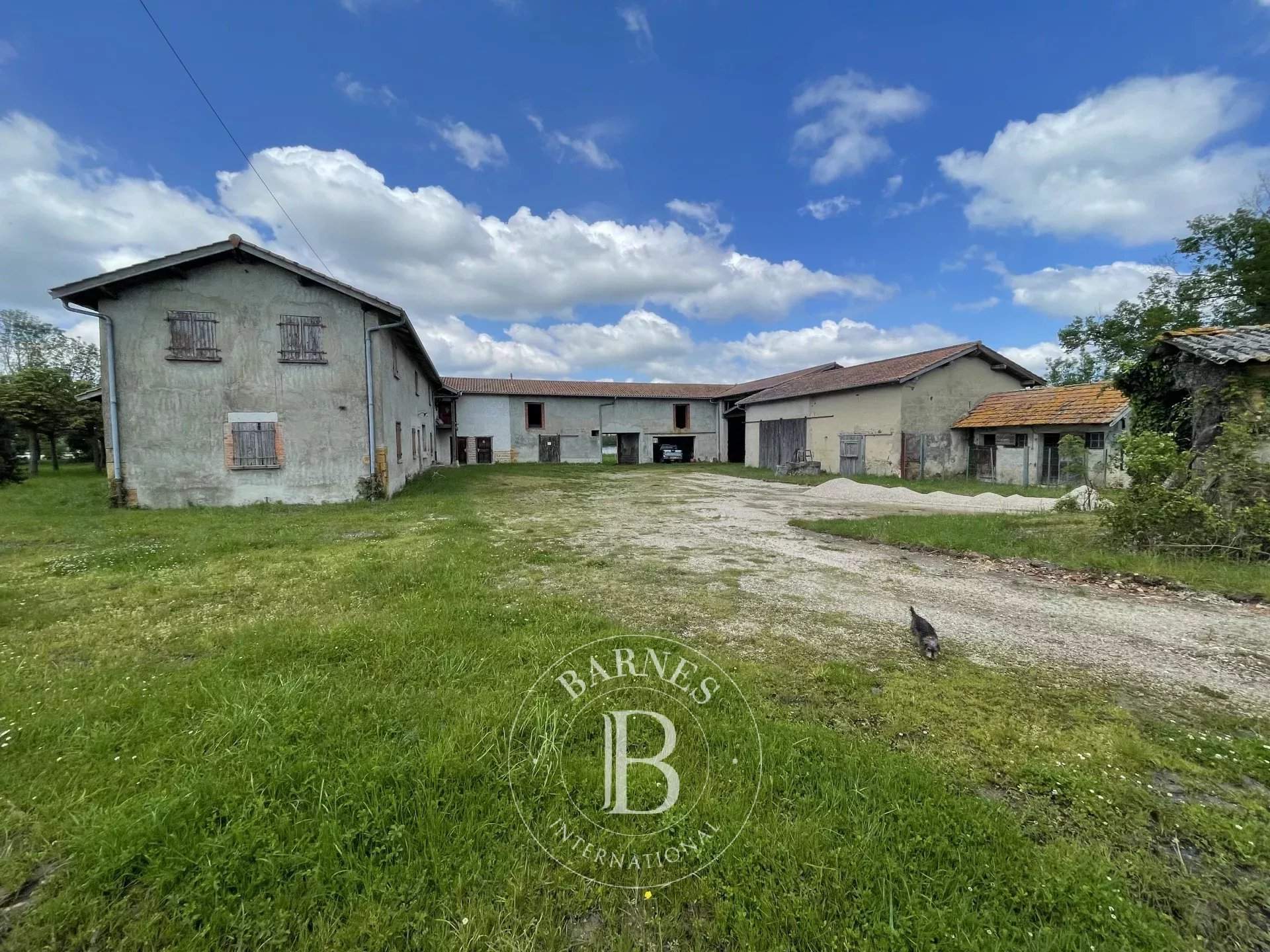 Villars-les-Dombes  - Propriété  - picture 9