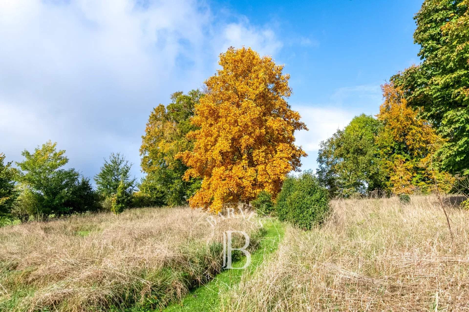 Lucy  - Propriété 11 Pi&egrave;ces 4 Chambres - picture 5