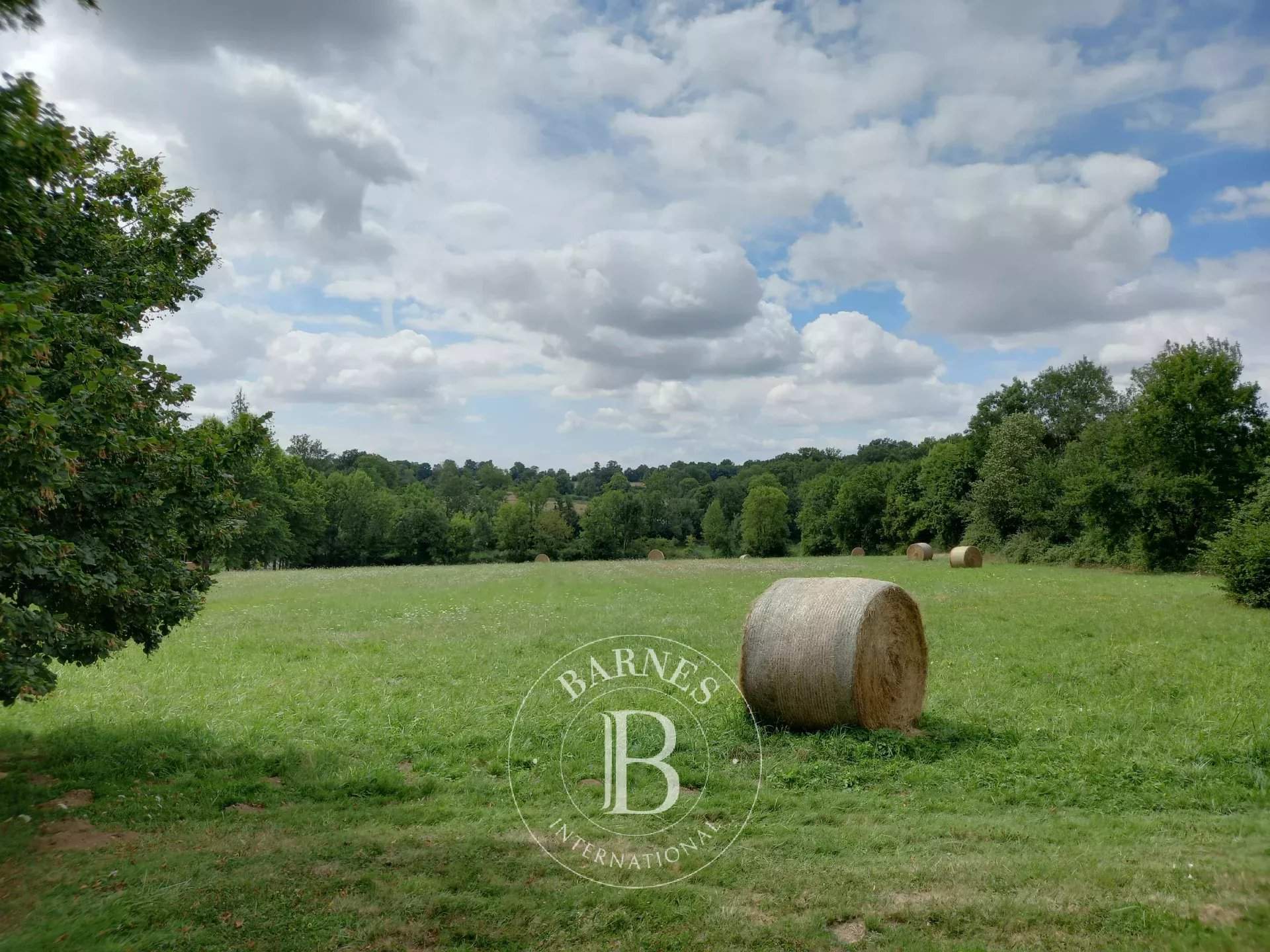 Niort  - Castle 5 Bedrooms - picture 15