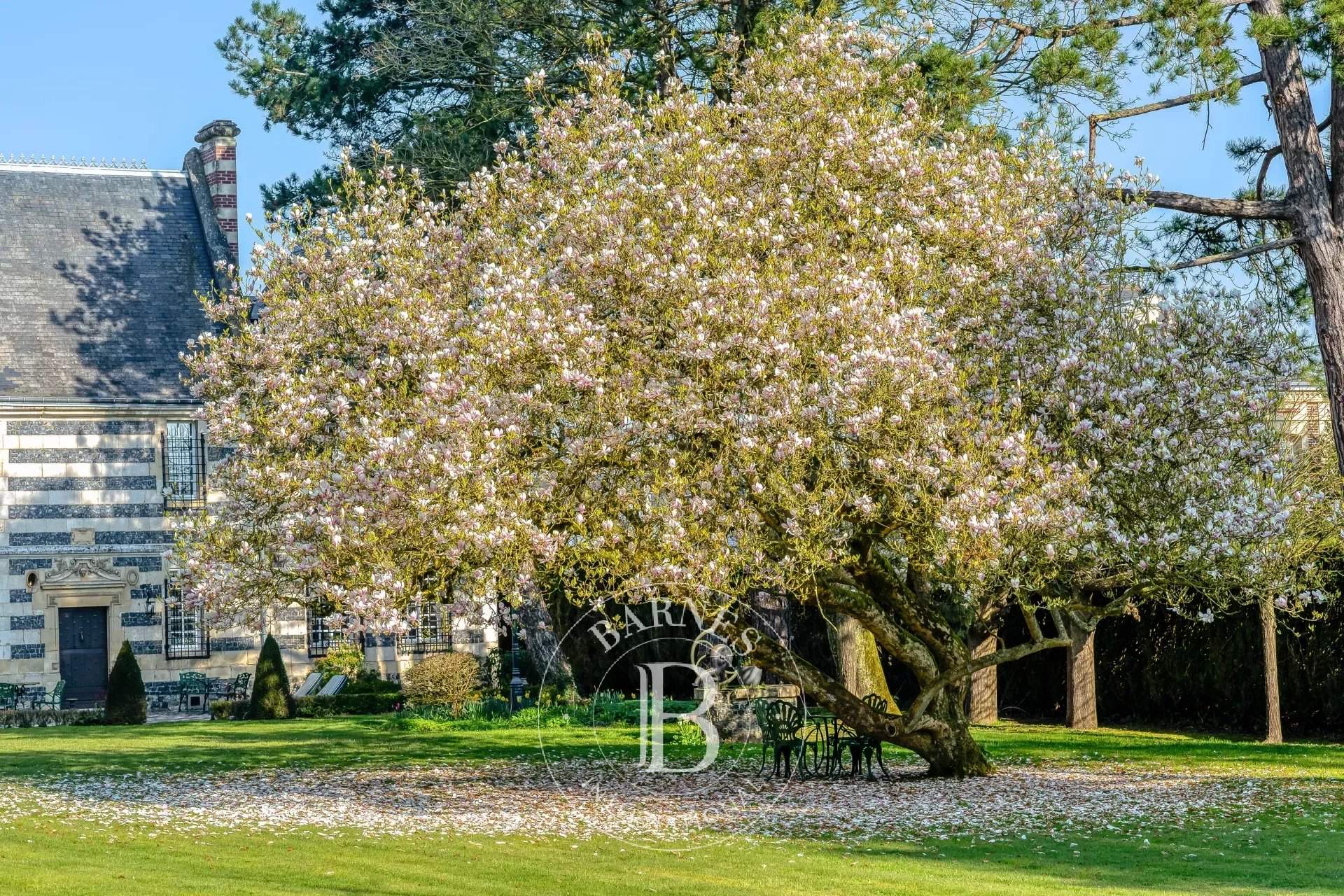 Le Havre  - Manoir 12 Pi&egrave;ces 5 Chambres - picture 16