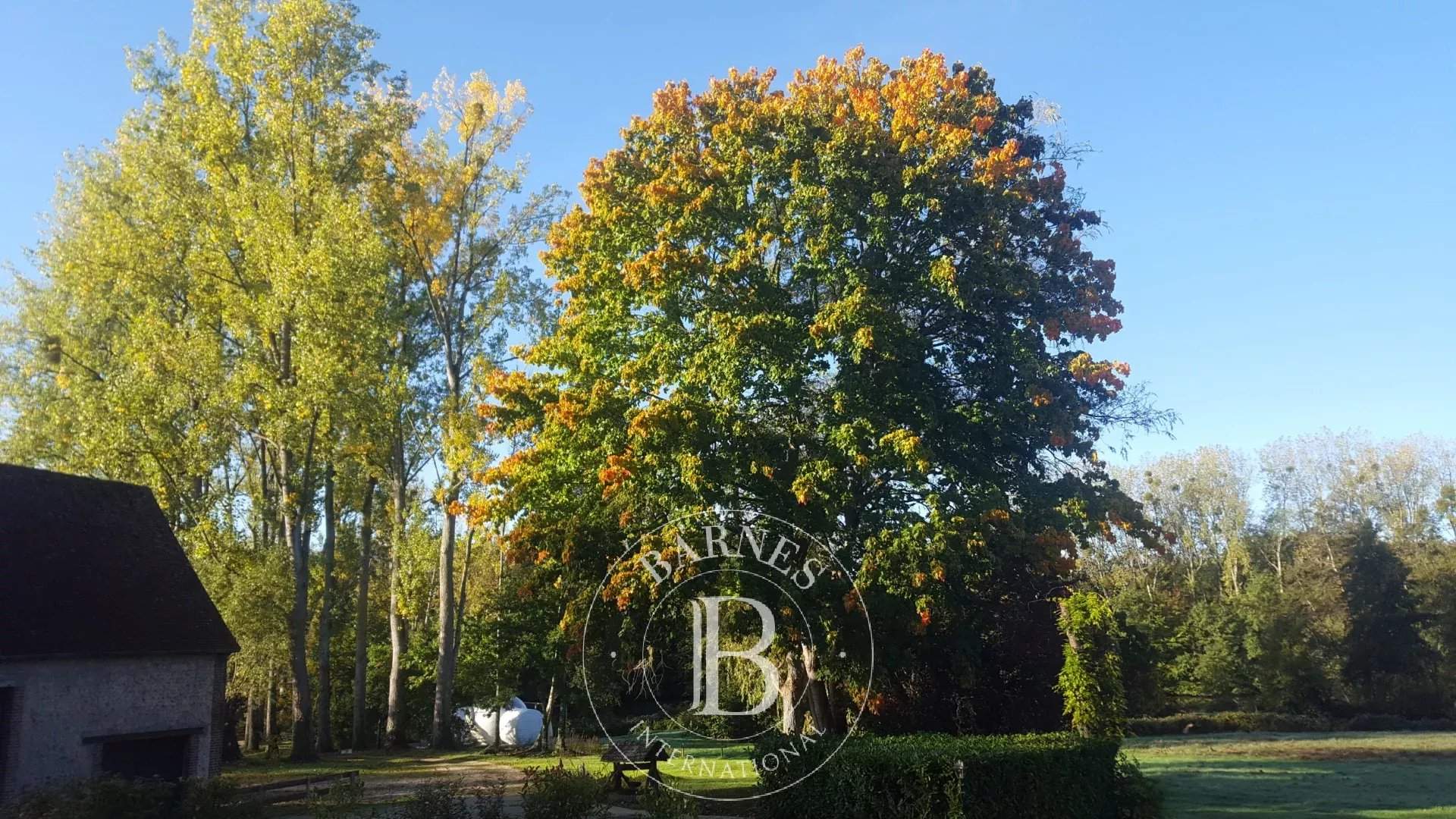 Longny les Villages  - Property 4 Bedrooms - picture 5