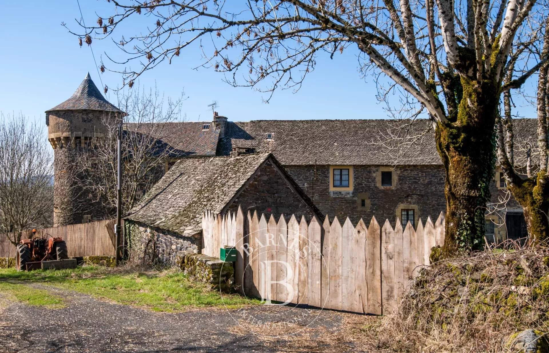 Espalion  - Château 10 Pi&egrave;ces - picture 20