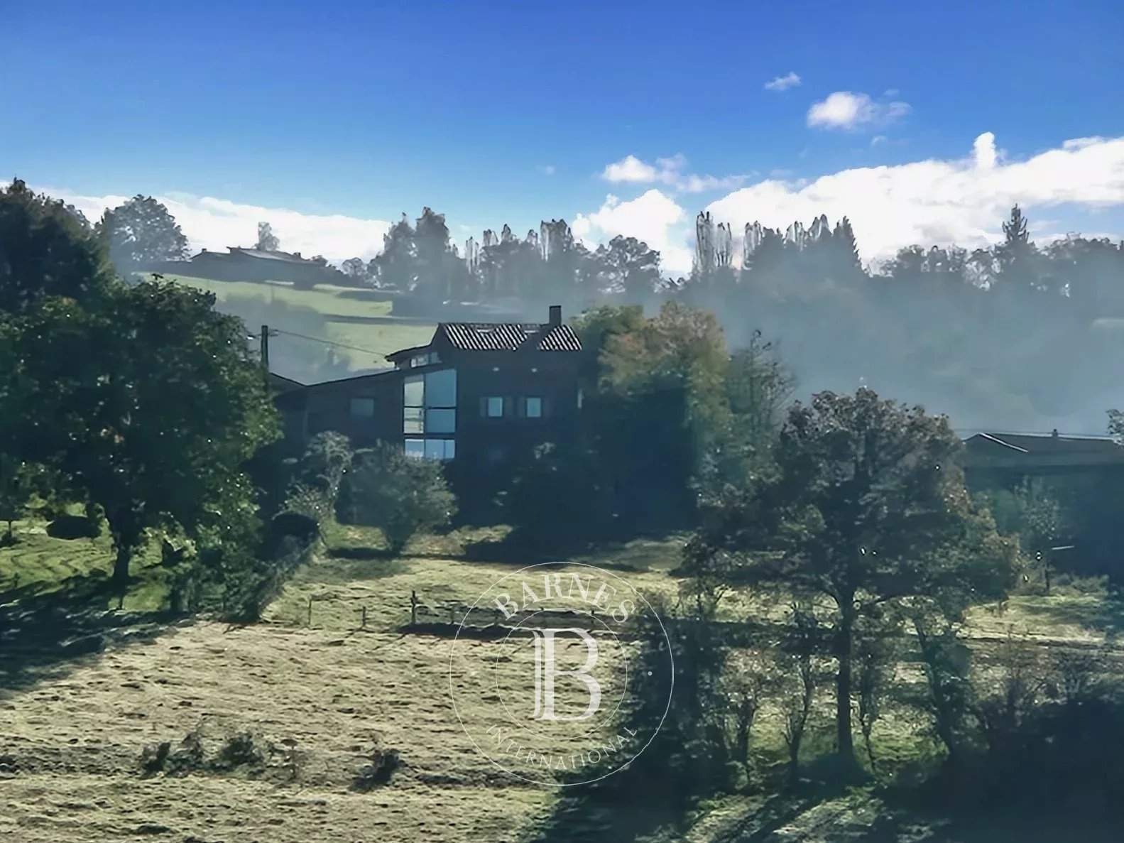 Domaize  - Maison 15 Pi&egrave;ces 5 Chambres - picture 1