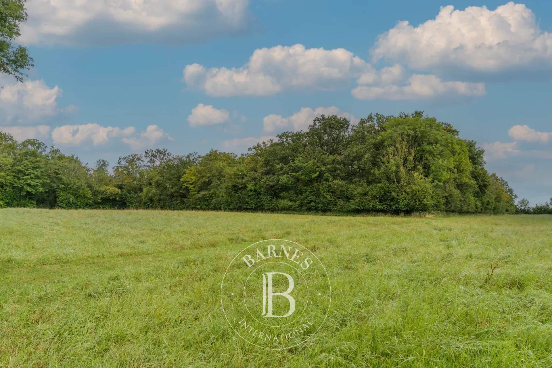 Chambors  - Finca  - picture 16