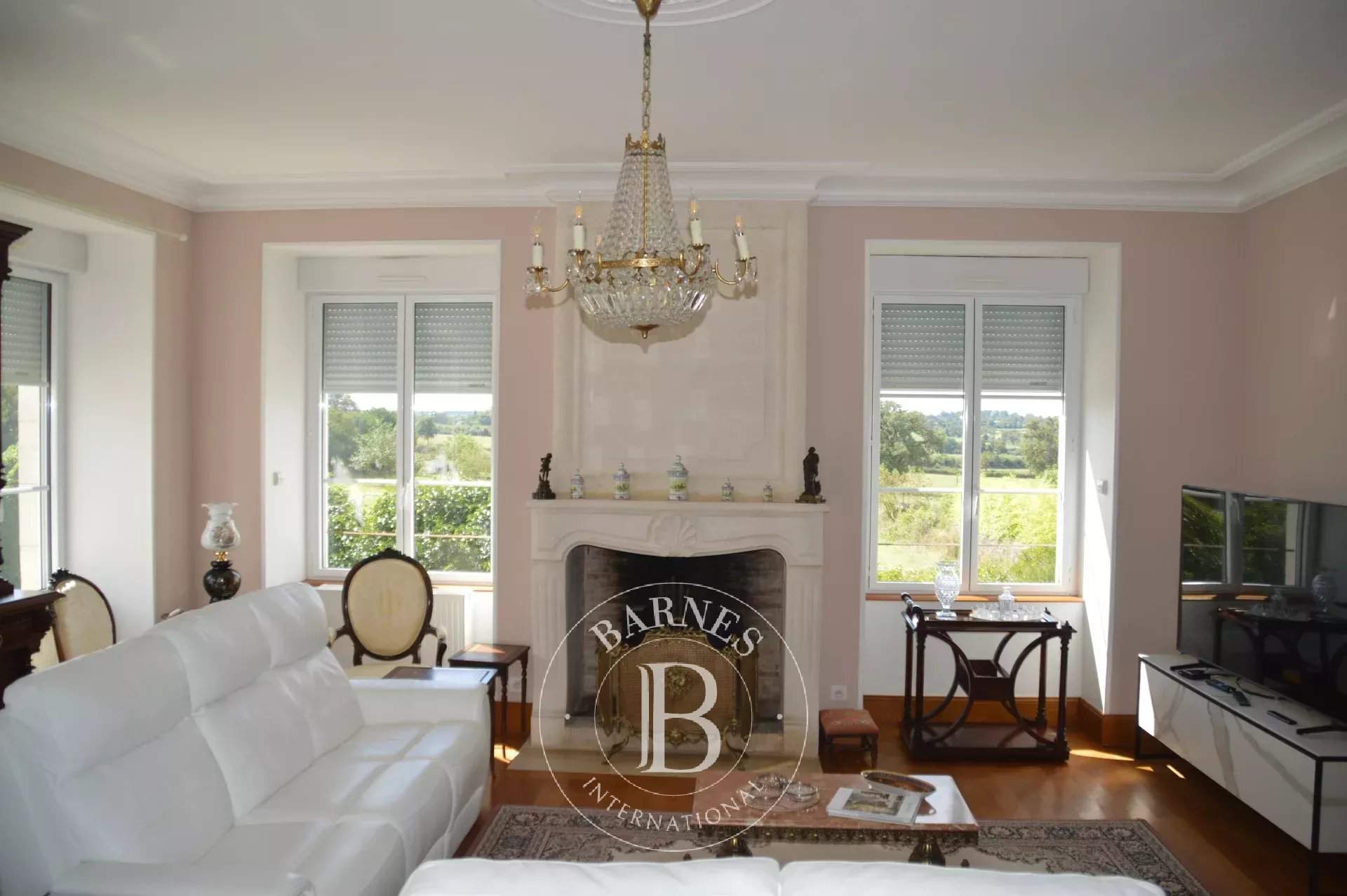 La Trimouille  - Manor house 12 Bedrooms - picture 9