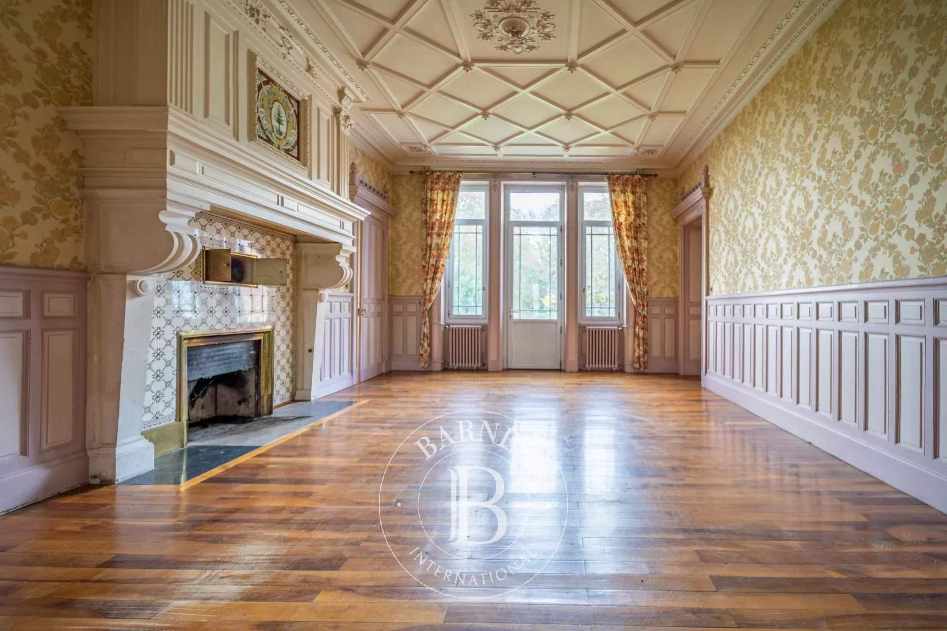 Eyzin-Pinet  - Castle  - picture 2