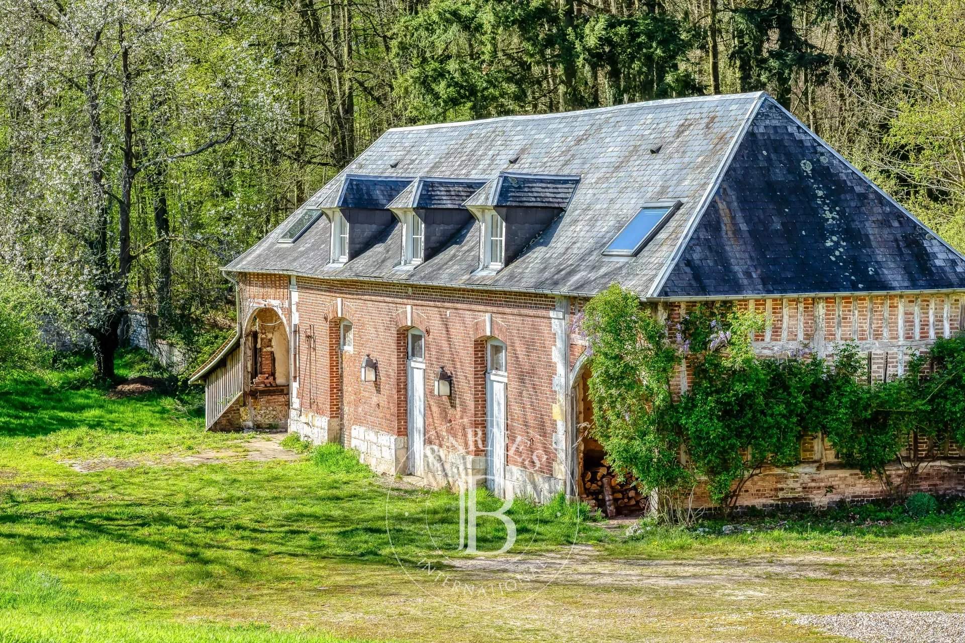 Yvetot  - Château 14 Pi&egrave;ces 7 Chambres - picture 14