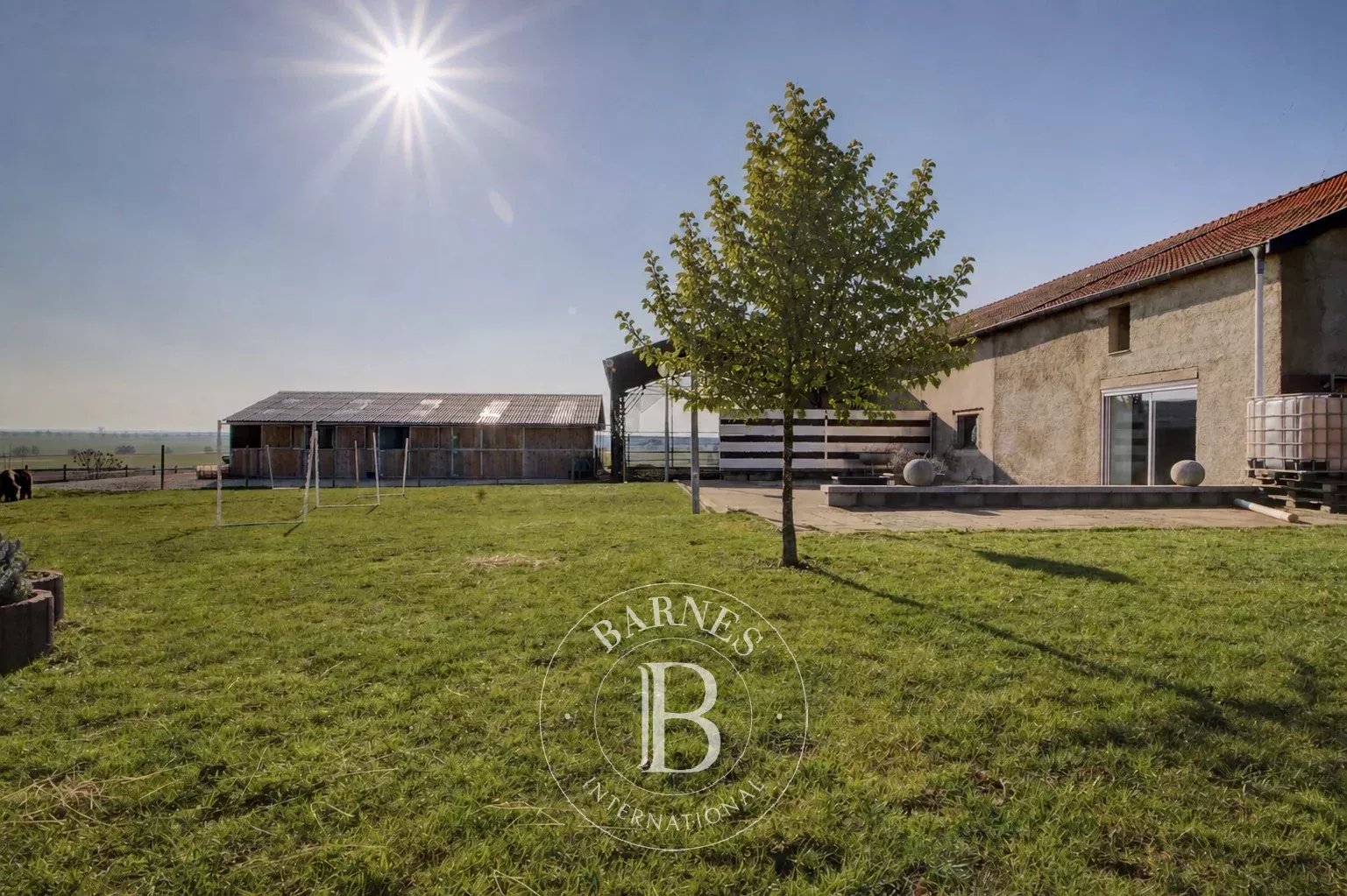 Lachaussée  - Domaine équestre  - picture 7