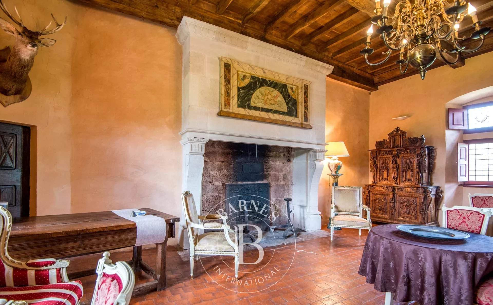 Rodez  - Château 12 Pi&egrave;ces 6 Chambres - picture 9