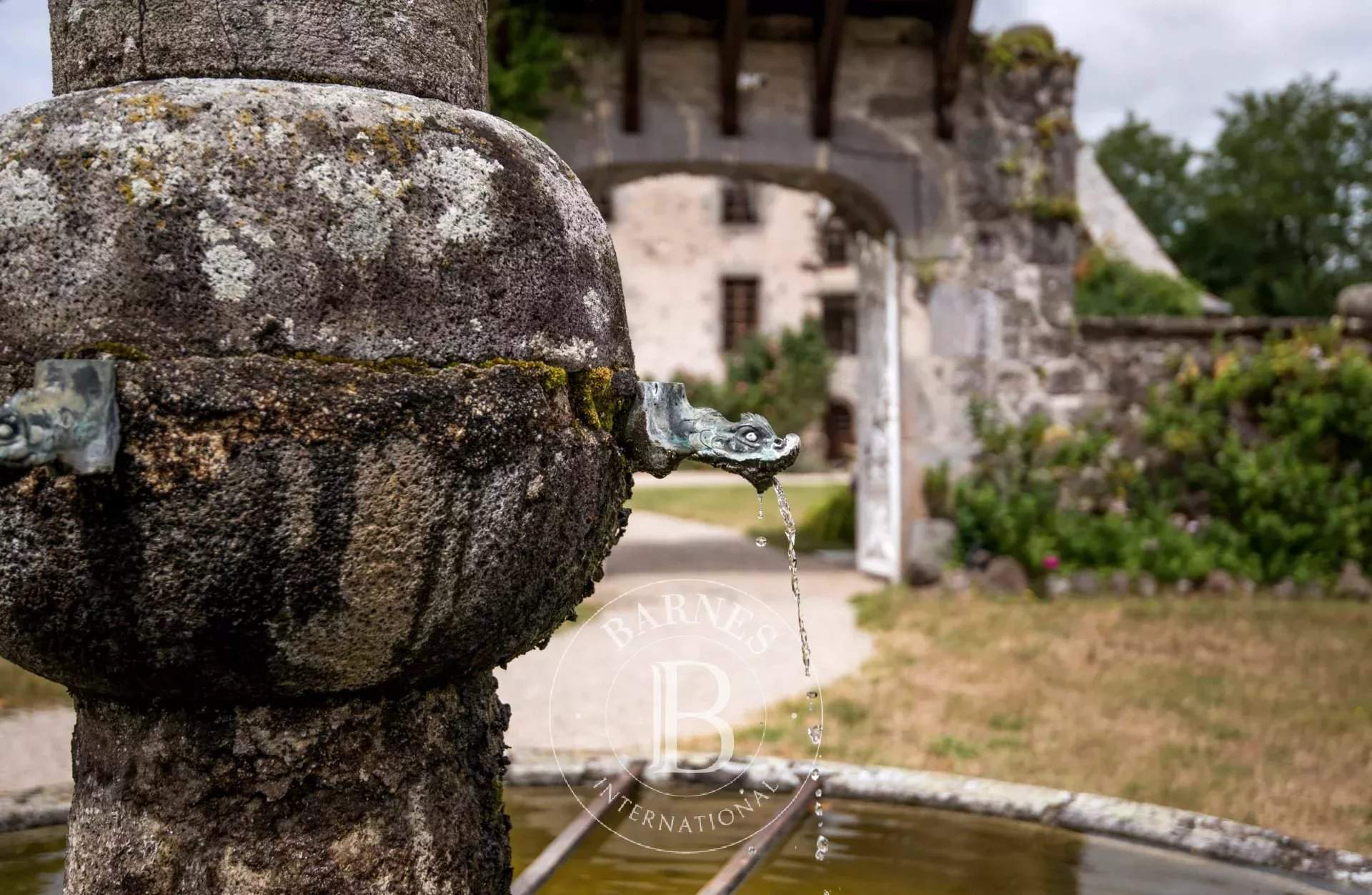 Aurillac  - Château 20 Pièces - picture 18