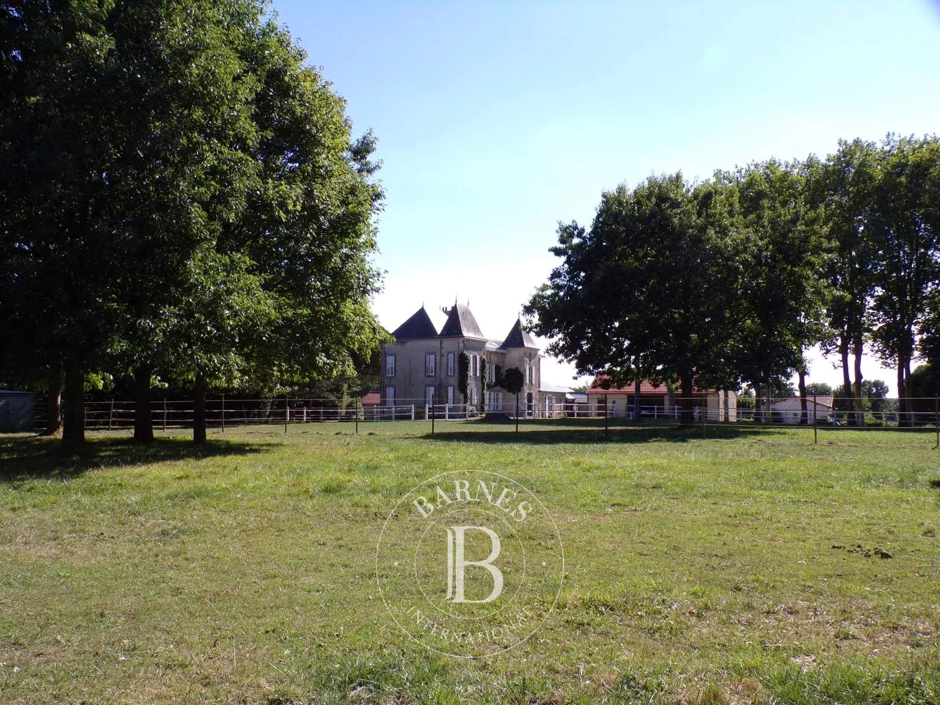 Pouzauges  - Manoir 10 Pi&egrave;ces 5 Chambres - picture 7