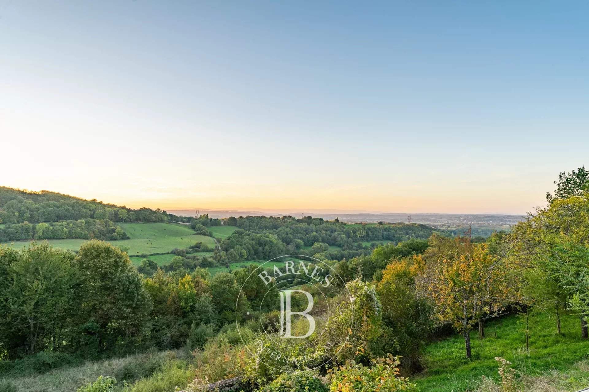 Eyzin-Pinet  - Castle  - picture 15