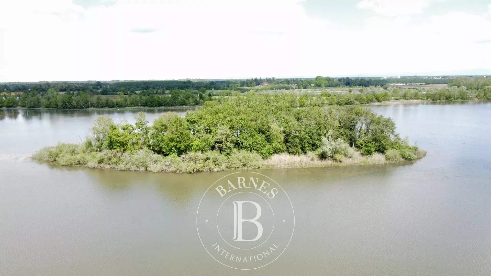 Villars-les-Dombes  - Propriété  - picture 8