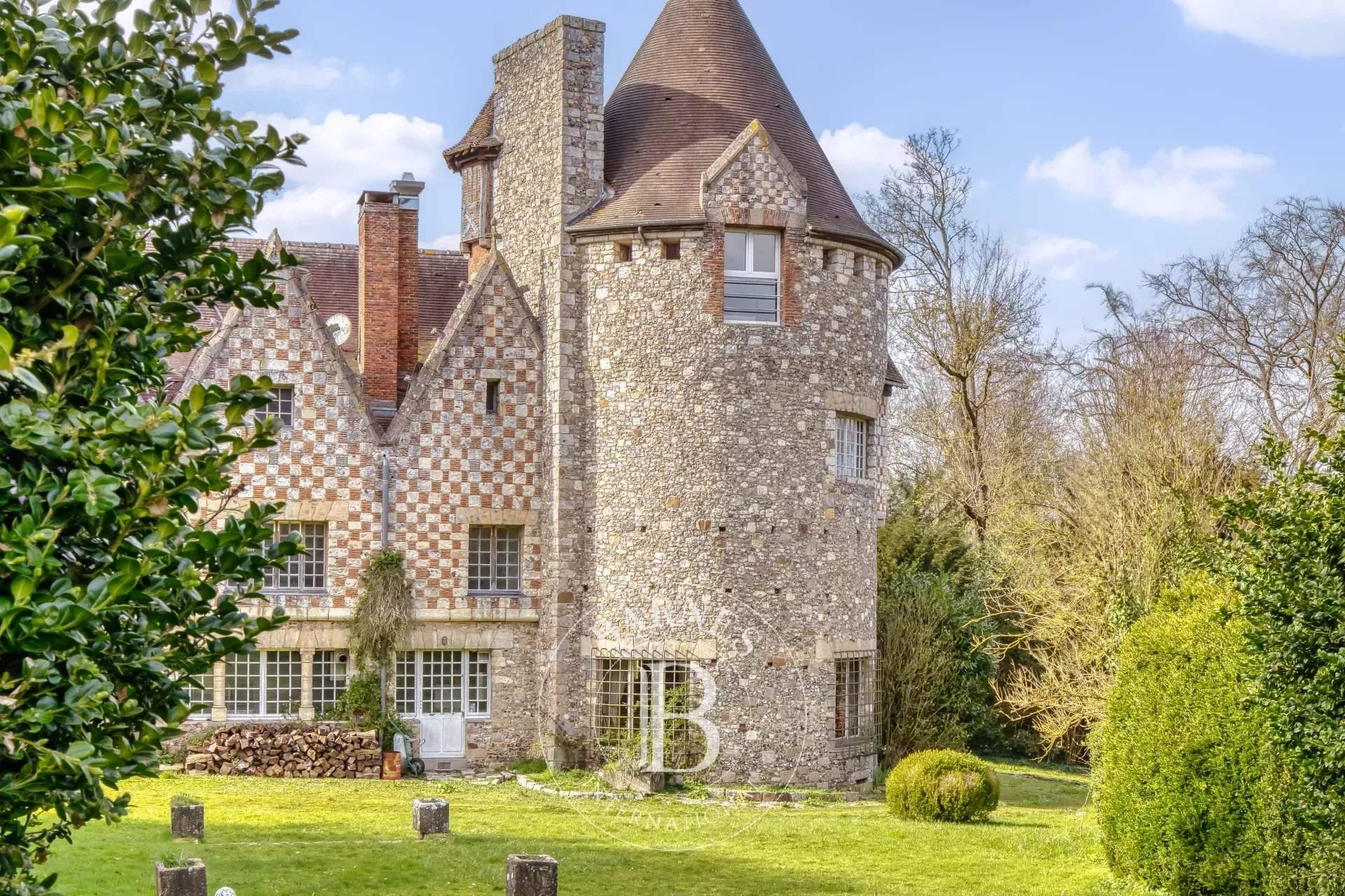 Saint-Victor-l'Abbaye  - Manoir 16 Pi&egrave;ces 5 Chambres - picture 17