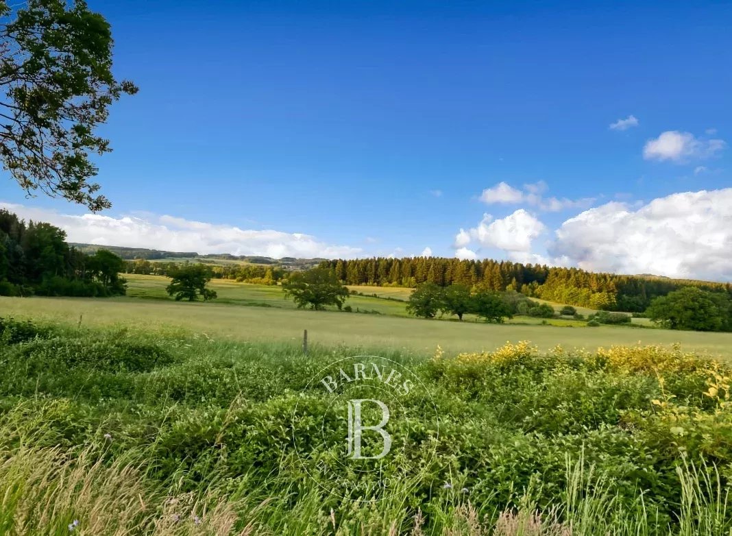 Blot-l'Église  - Château  - picture 20