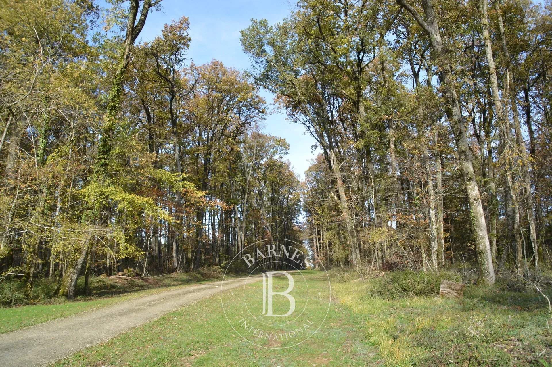 Poitiers  - Château 22 Pièces 12 Chambres - picture 7