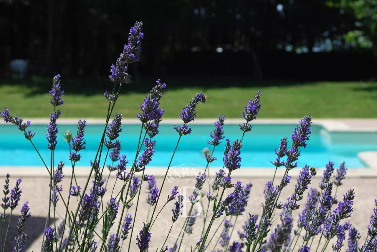 Sarlat-la-Canéda  - Property 9 Bedrooms - picture 18