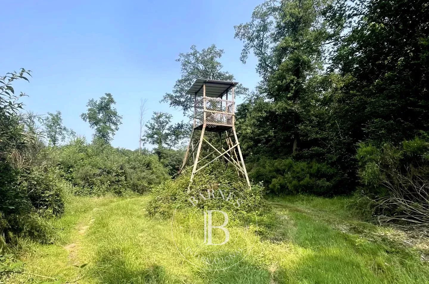 Mionnay  - Game reserve  - picture 3