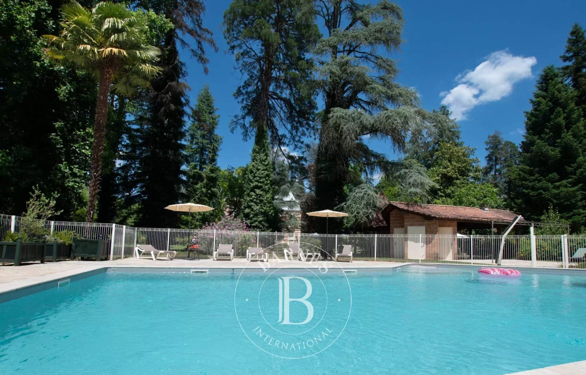 Sarlat-la-Canéda  - Château 15 Pi&egrave;ces 11 Chambres - picture 3