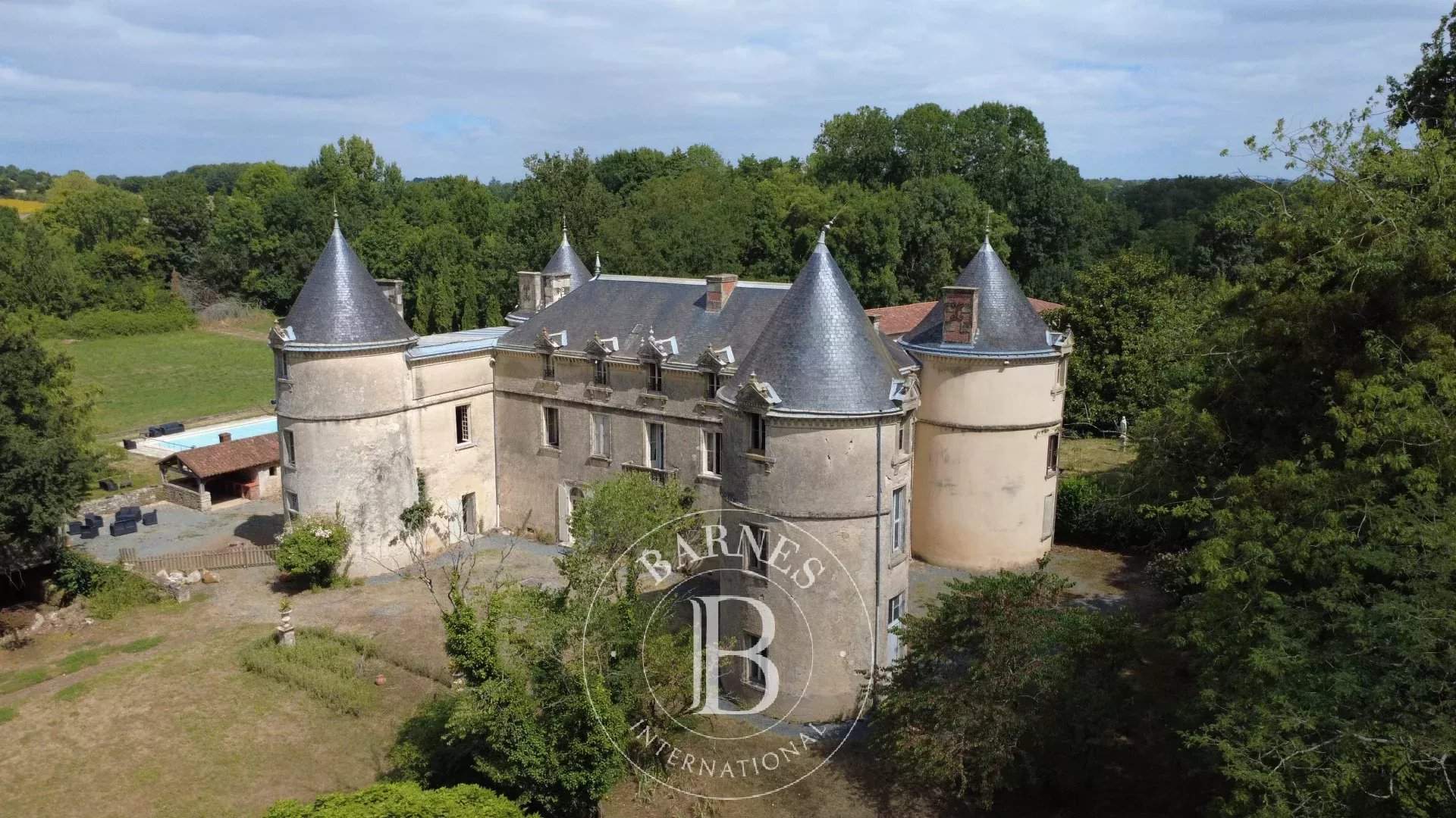 La Châtaigneraie  - Castillo  - picture 9