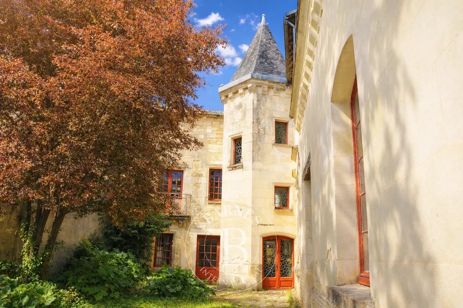 Loudun  - Hôtel particulier 12 Pi&egrave;ces 6 Chambres - picture 1
