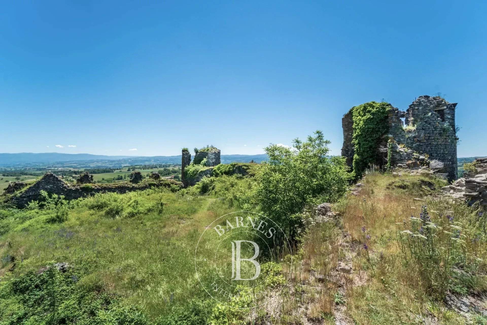 Mauzun  - Château  - picture 7