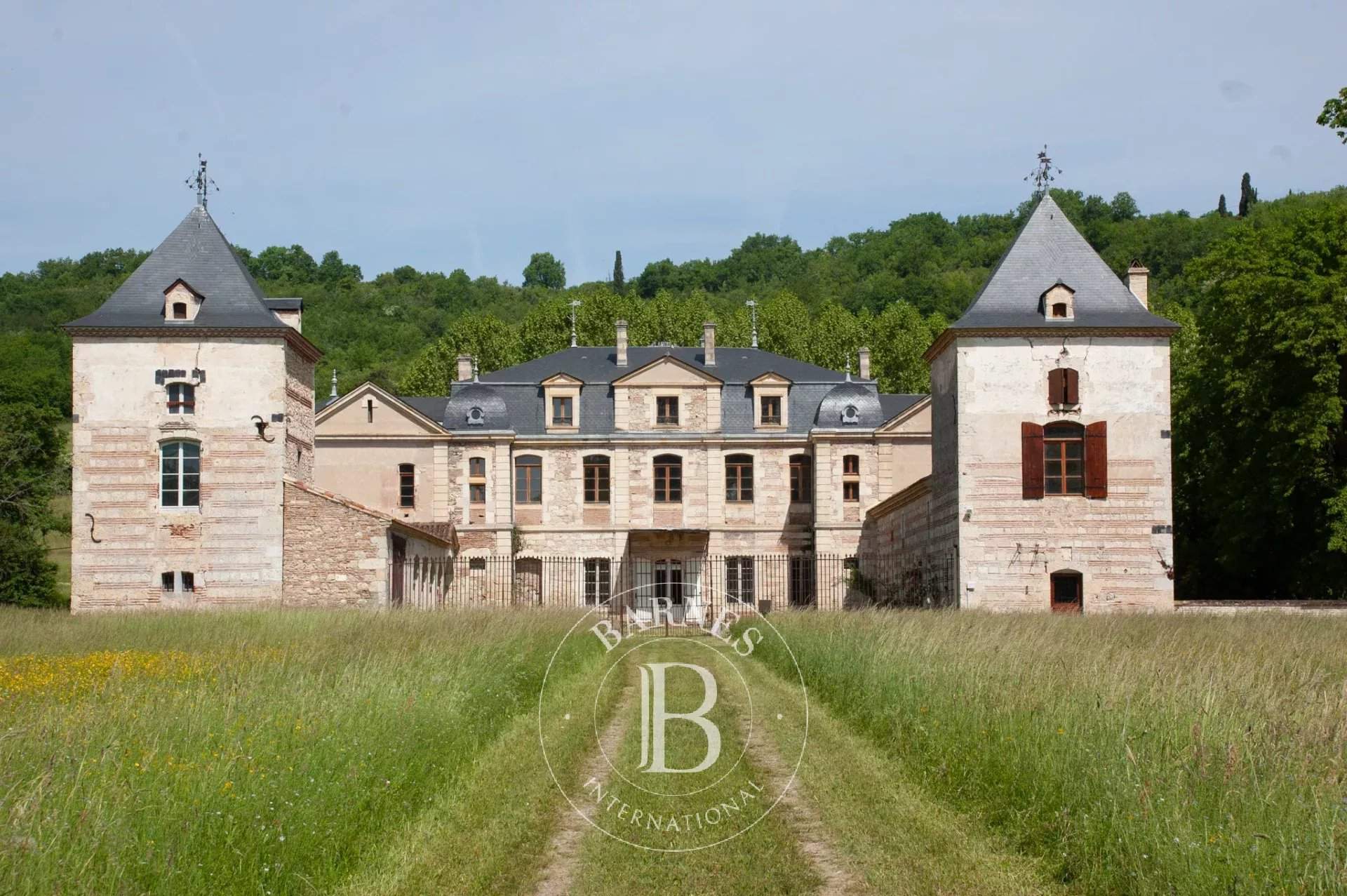 Clairac  - Château 22 Pièces 11 Chambres - picture 1