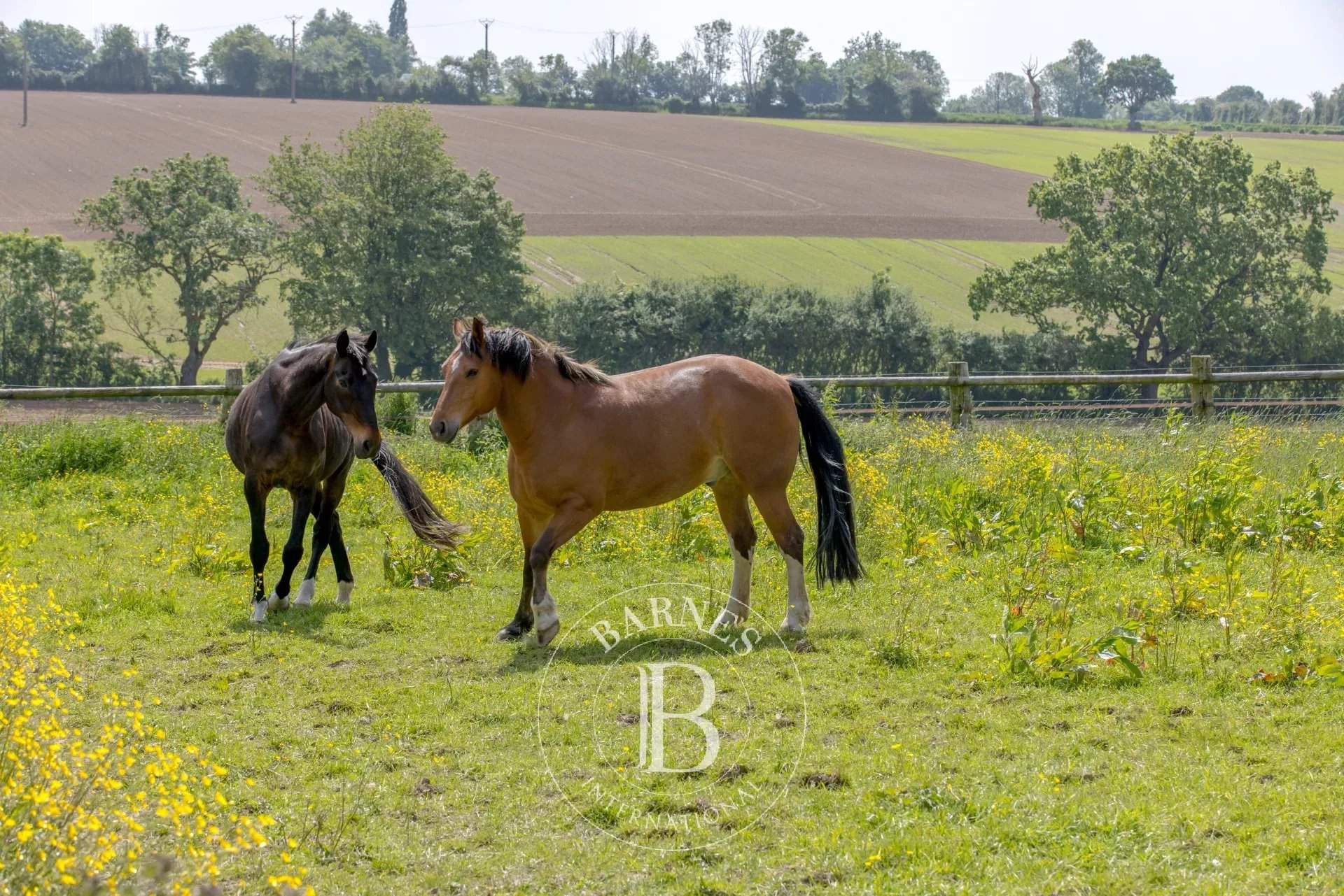 Forges-les-Eaux  - Property 5 Bedrooms - picture 18