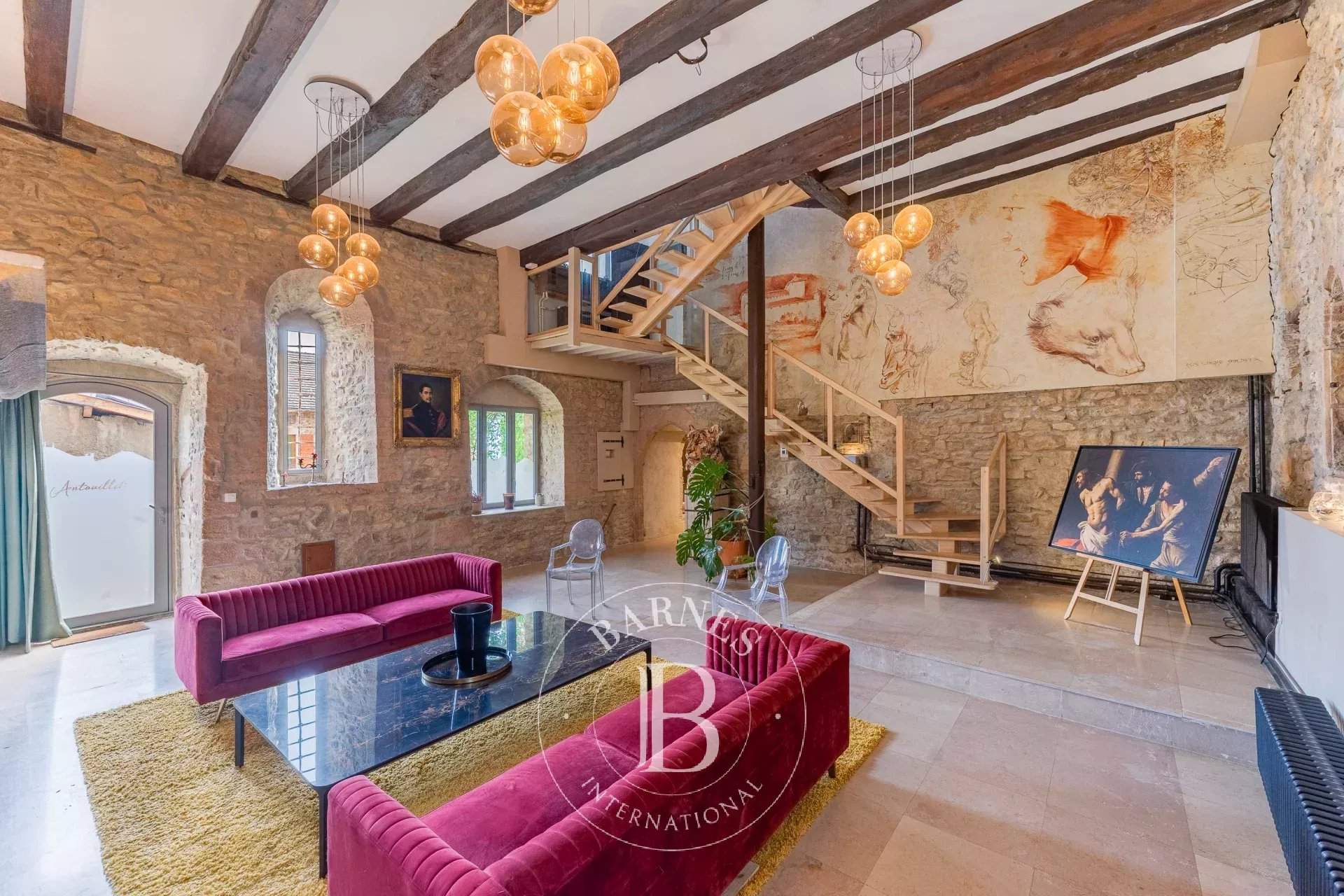 Panossas  - Castle 7 Bedrooms - picture 2