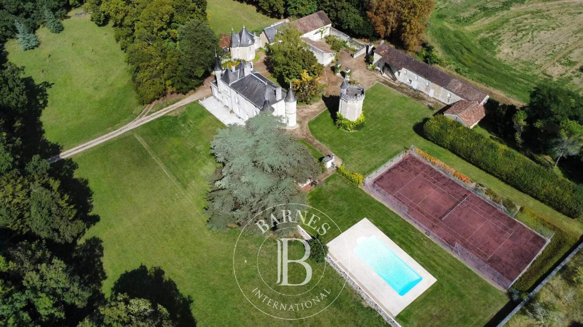 Châtellerault  - Castle 9 Bedrooms - picture 7