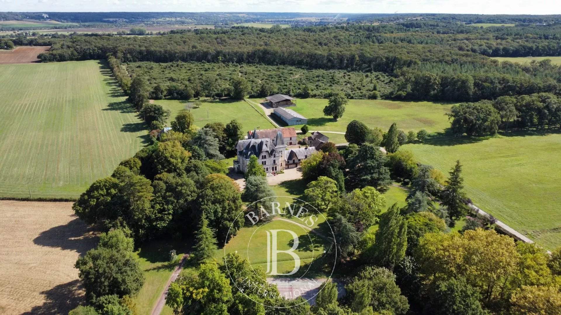 Châtellerault  - Castle 13 Bedrooms - picture 4