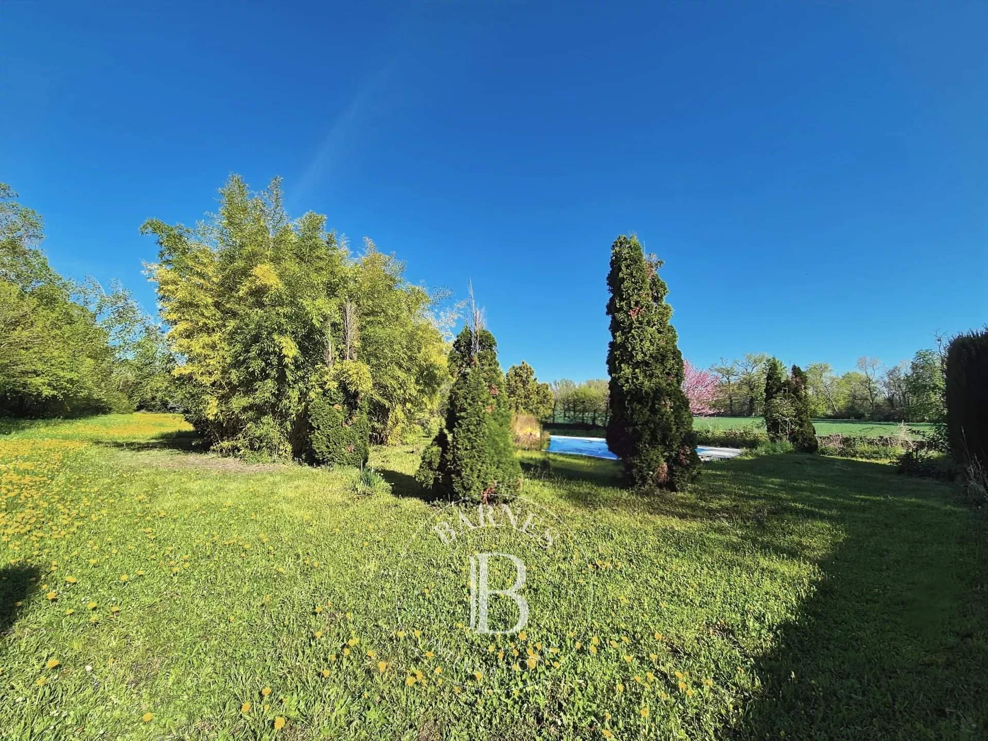 Cellule  - Maison 12 Pi&egrave;ces 8 Chambres - picture 3