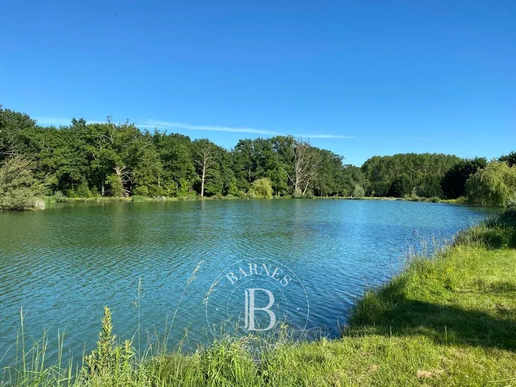 Châtellerault  - Manoir 9 Pi&egrave;ces 6 Chambres - picture 7