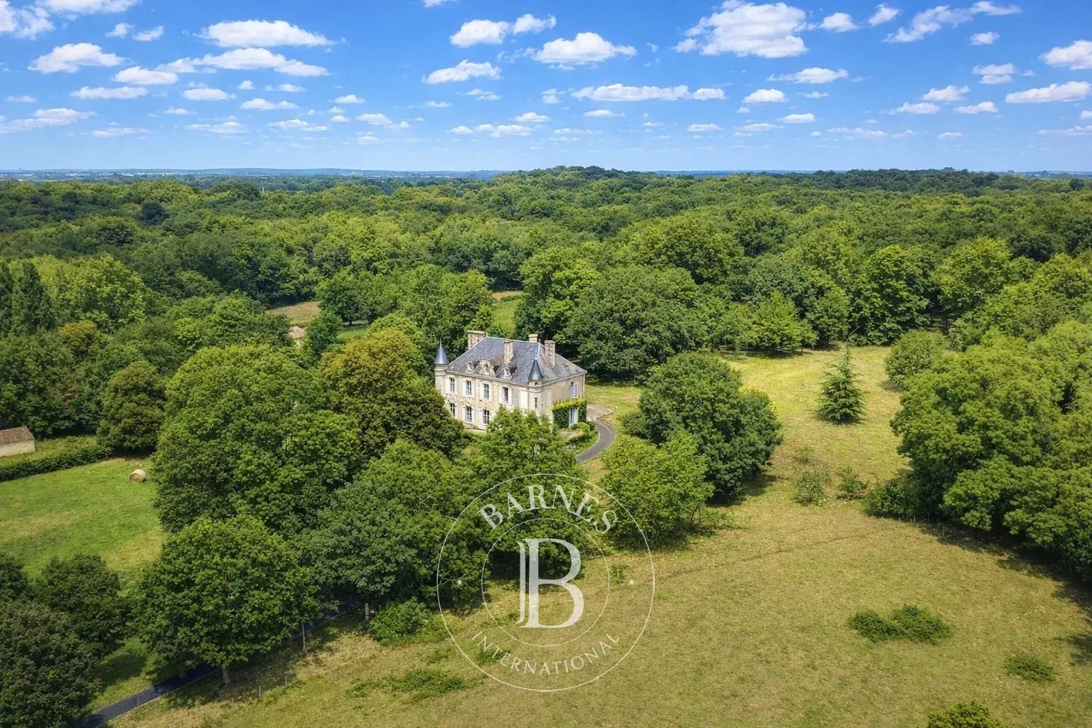 Niort  - Château 10 Pi&egrave;ces 5 Chambres - picture 9