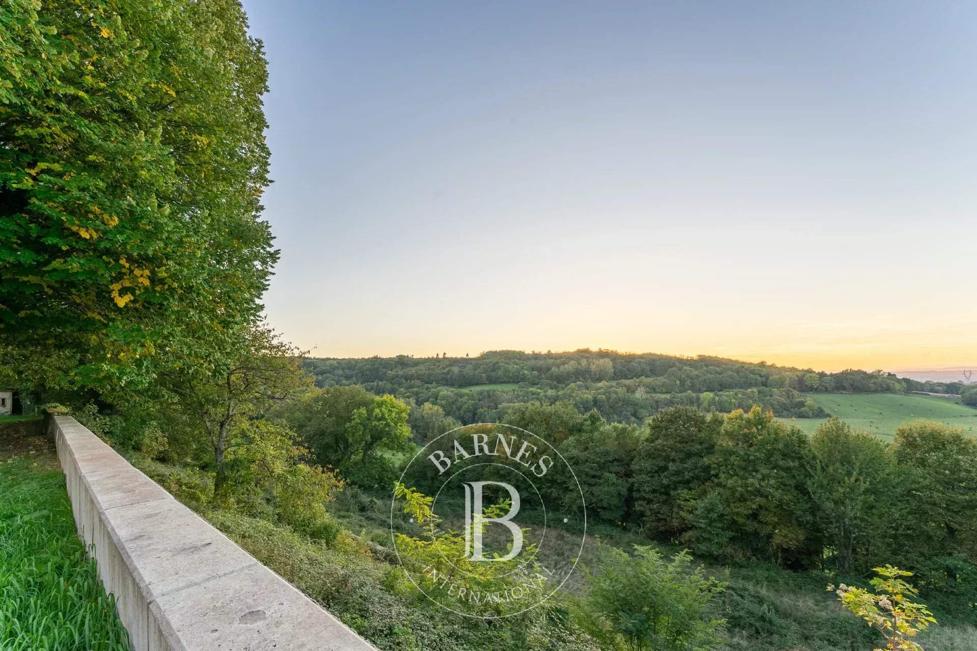 Eyzin-Pinet  - Castle  - picture 16