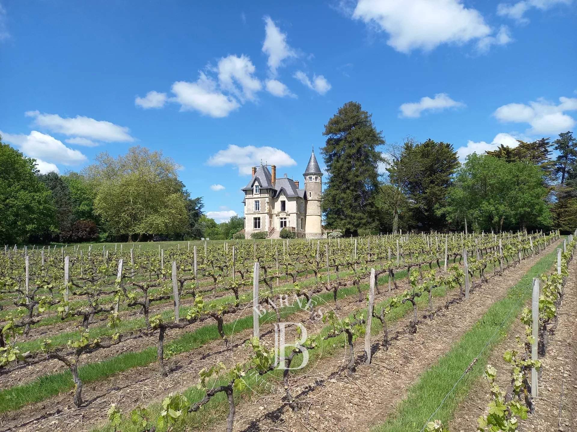 Mareuil-sur-Lay-Dissais  - Castle 16 Bedrooms - picture 7