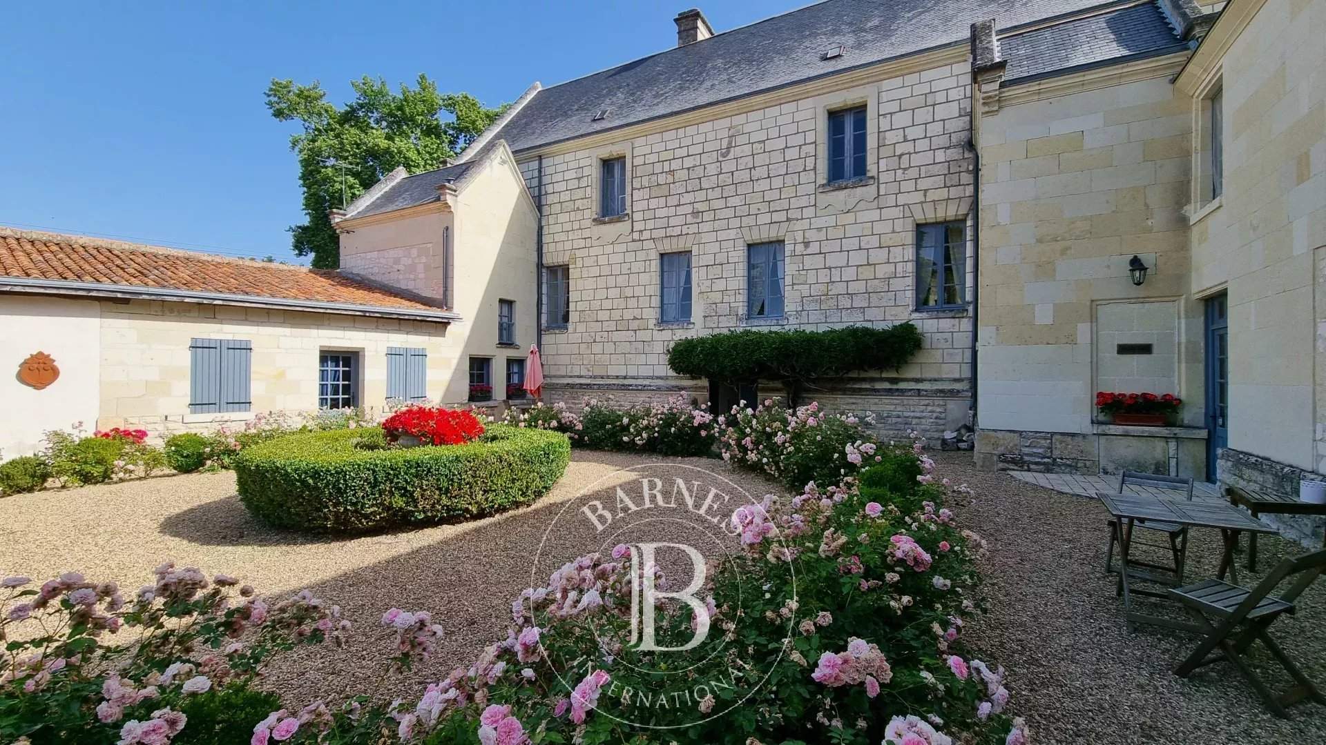 Chinon  - Château 17 Pi&egrave;ces 9 Chambres - picture 4