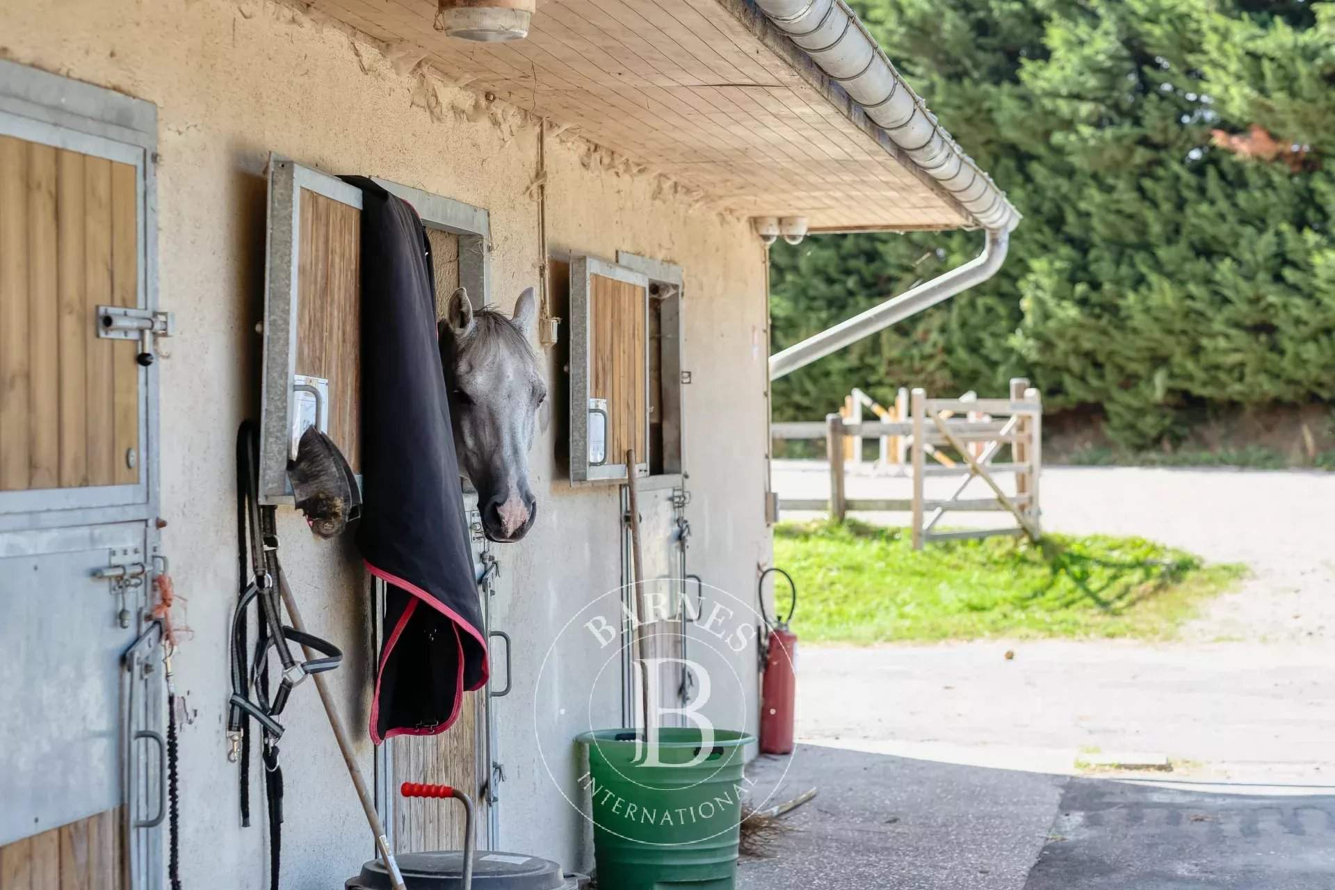 Villerville  - Equestrian estate  - picture 10