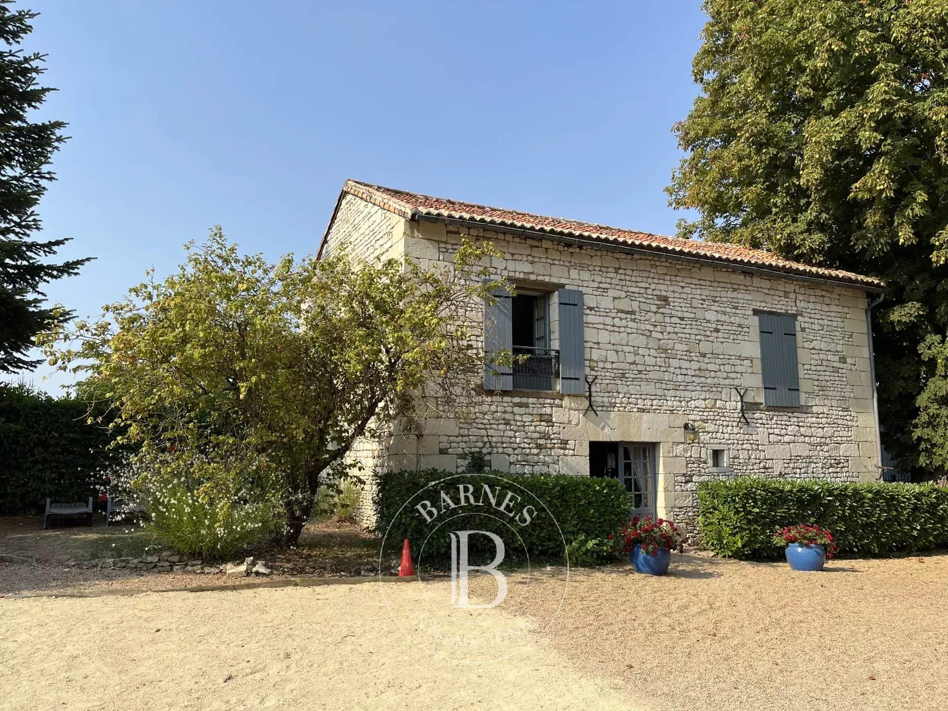Chinon  - Château 17 Pi&egrave;ces 9 Chambres - picture 15