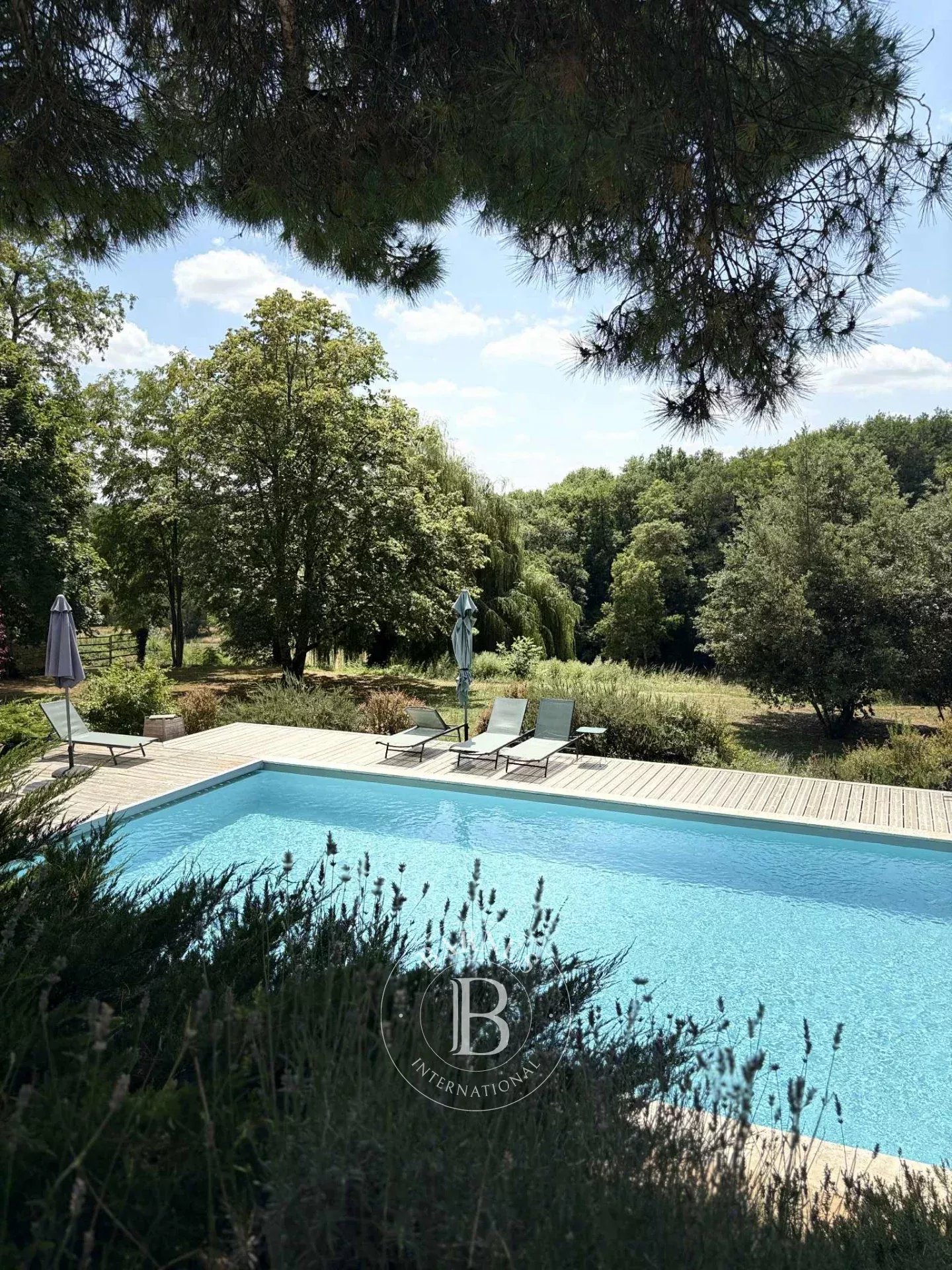 Moulidars  - Propriété 11 Pi&egrave;ces - picture 8