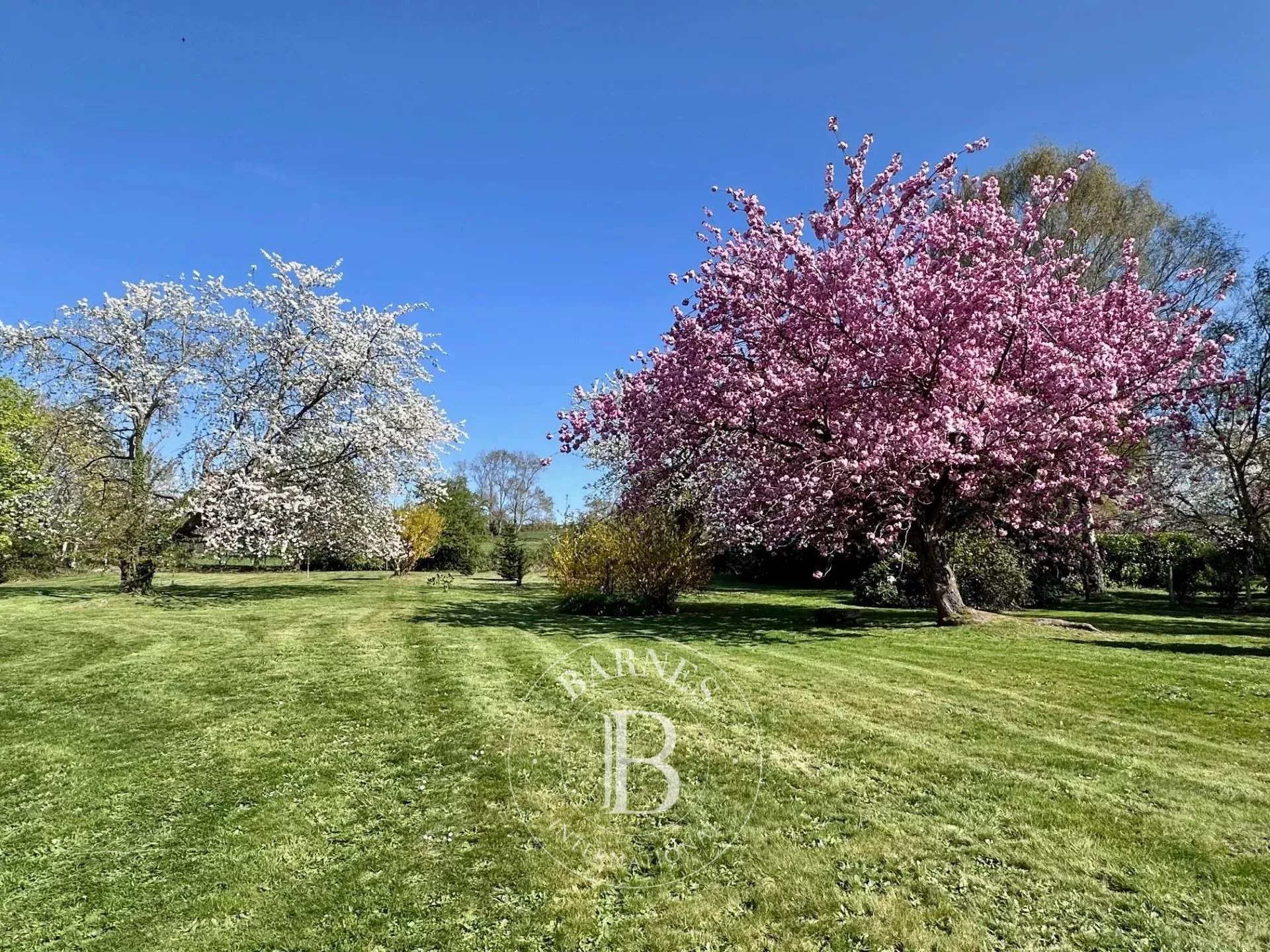 Honfleur  - House  - picture 3