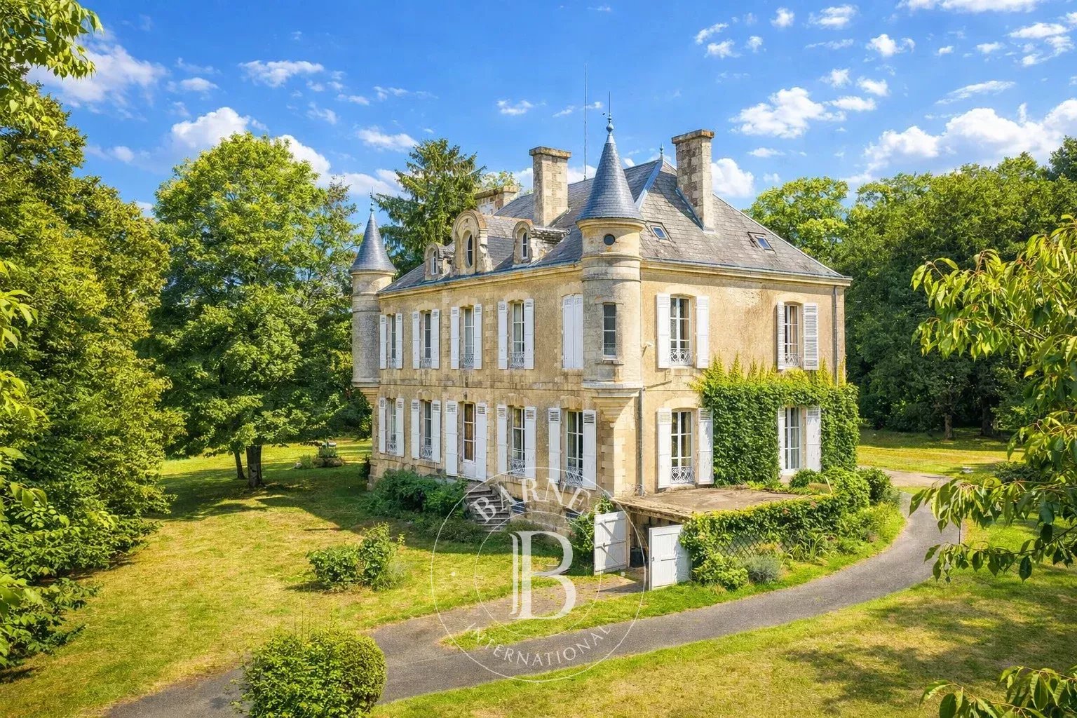 Niort  - Château 10 Pi&egrave;ces 5 Chambres - picture 10