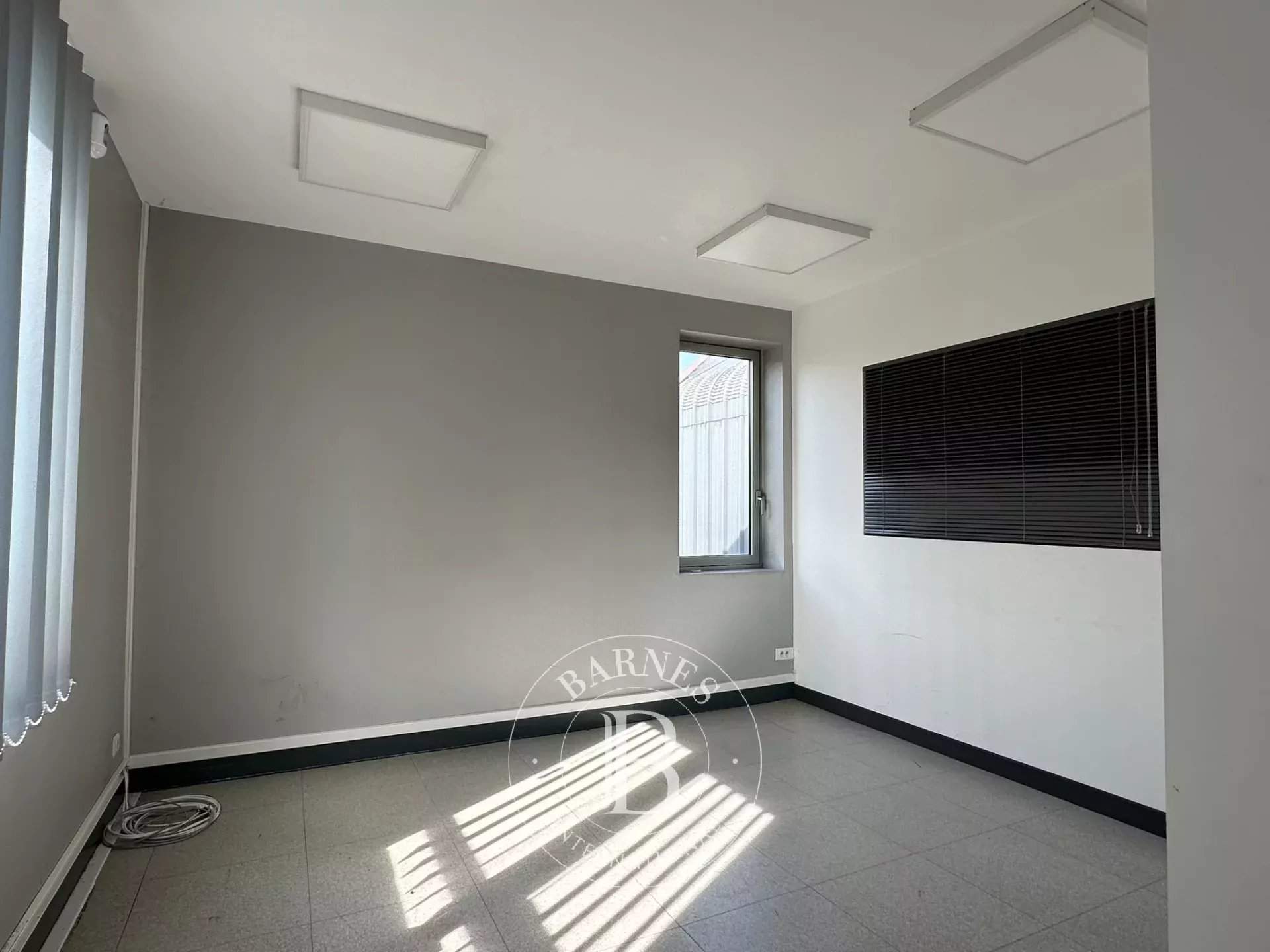 Linas  - Premises  - picture 8